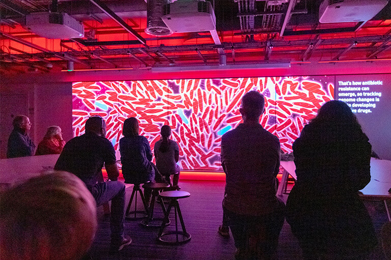 Silhouettes of visitors to Open Lab watching a panoramic screen with red bacteria, and some text reading 'That's how antibiotic restistance can emerge, so tracking genome changes is...' rest hidden by someone's head.