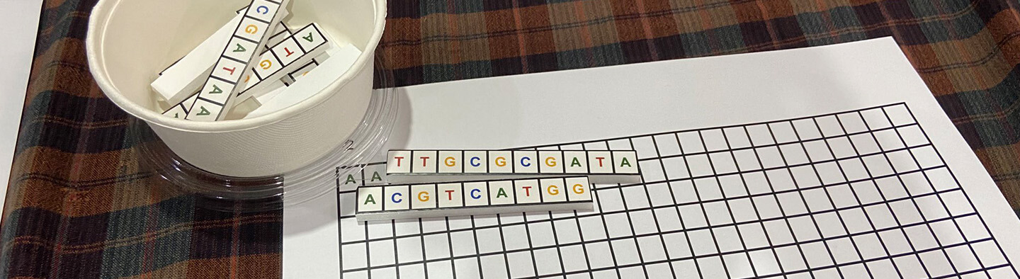Grid on paper and pot with strips of T,G,C,A letters - a genomics engagement activity puzzle