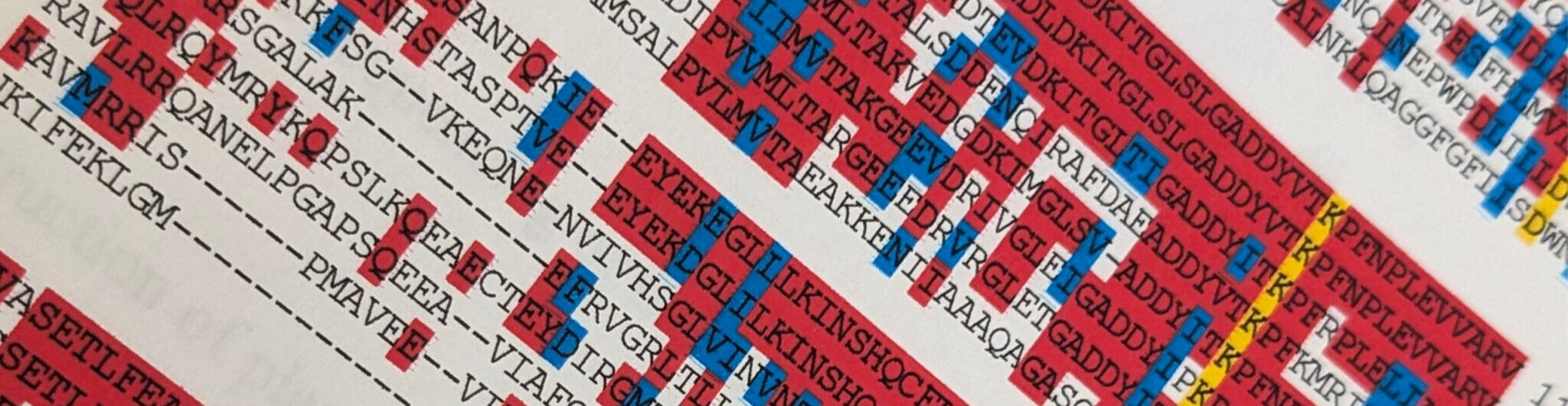 Page from a PhD thesis with specific letters - representing amino acids from a bacterial protein - highlighted in red, blue and yellow.