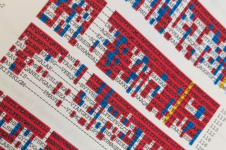 Page from a PhD thesis with specific letters - representing amino acids from a bacterial protein - highlighted in red, blue and yellow.